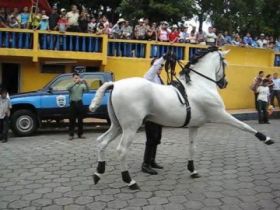 Dancing horse in Nicaragua – Best Places In The World To Retire – International Living